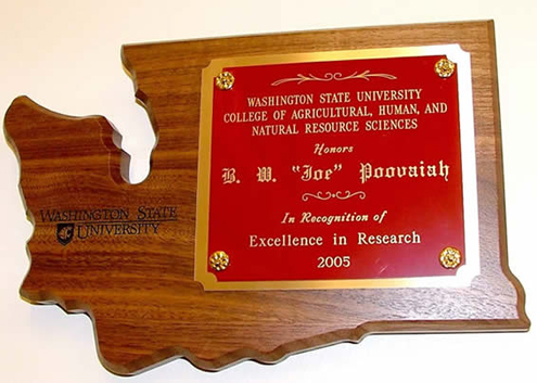 Excellence in Research award